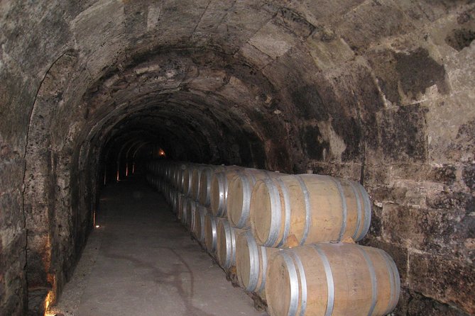 Ribera del Duero Wineries Guided Tour & Wine Tasting from Madrid - The first winery: learning Tempranillo from grape to bottle