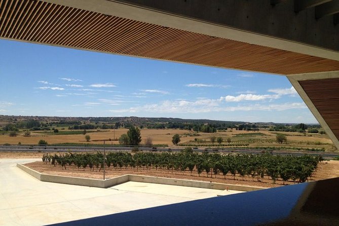 Ribera del Duero Wineries Guided Tour & Wine Tasting from Madrid - The modern winery: architecture with a purpose