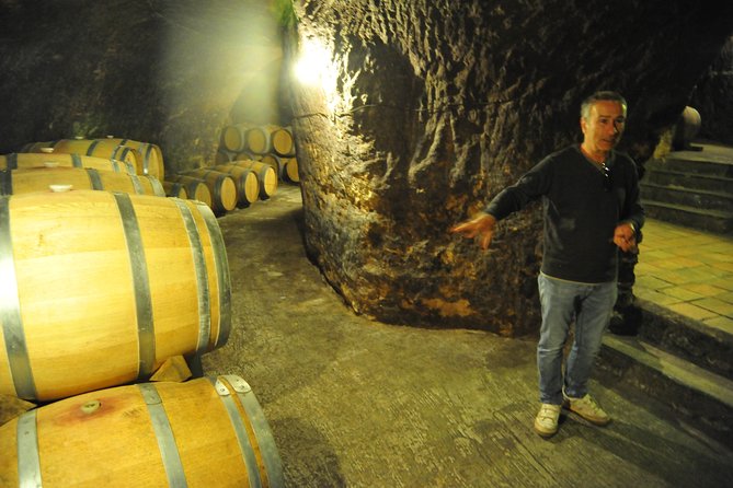 Ribera del Duero Wineries Guided Tour & Wine Tasting from Madrid - Wine tasting, snacks, and how much you actually receive