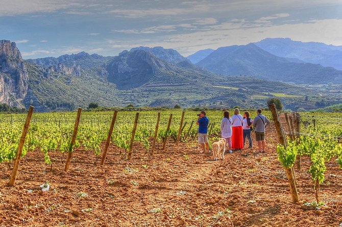 Rioja Like A Native Wine Tour - What makes this Rioja tour different
