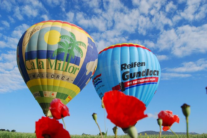 Romantic Sunrise Balloon Tour in Majorca - What the $229.77 price gets you