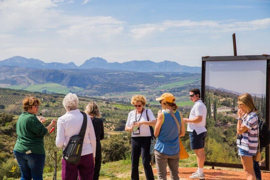 Ronda: LA Almazara LA Organic, Olive Oil Museum and Tasting - Seeing how olives become oil