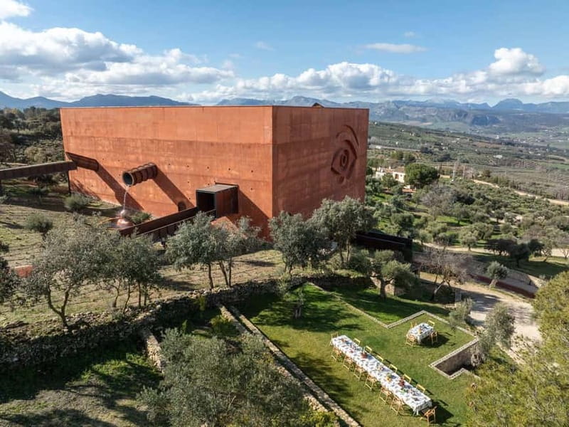 Ronda: LA Almazara LA Organic, Olive Oil Museum and Tasting - Learning to taste olive oil properly