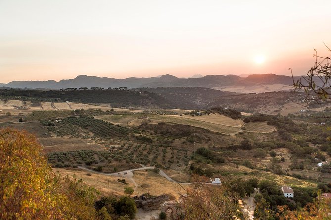 Ronda Village Guided Tour from Costa del Sol - Who will enjoy this tour most