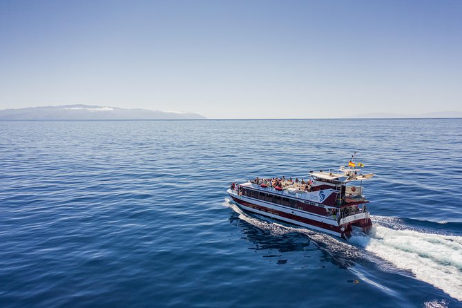 Royal Delfin - 2Hour Sustainable Dolphin & Whale Watching Mini Cruise - Key points to know before booking