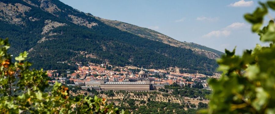 Royal Site of San Lorenzo de El Escorial Entrance Ticket - Who will enjoy this visit most