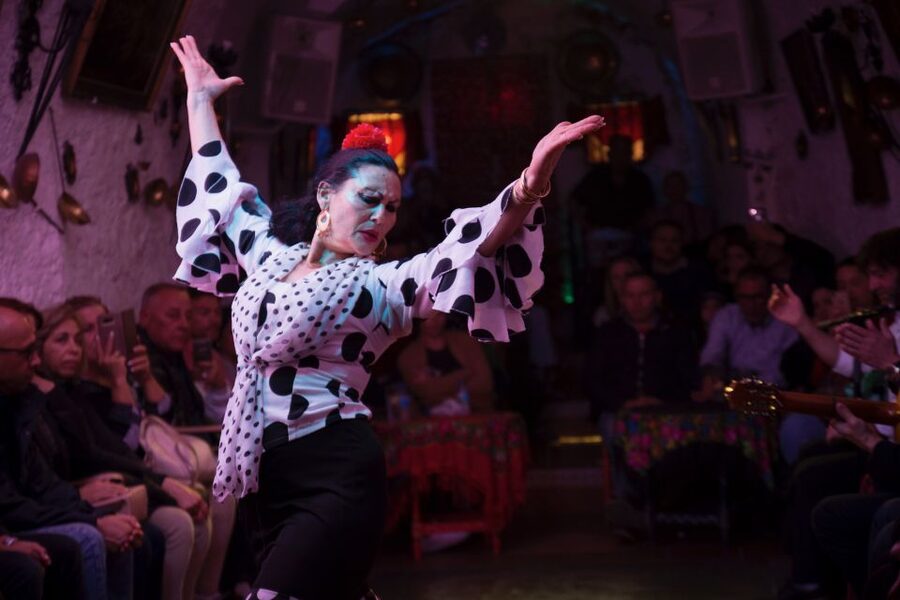 Sacromonte: Flamenco Show at Cuevas Los Tarantos Tickets - Who will enjoy this flamenco show most?