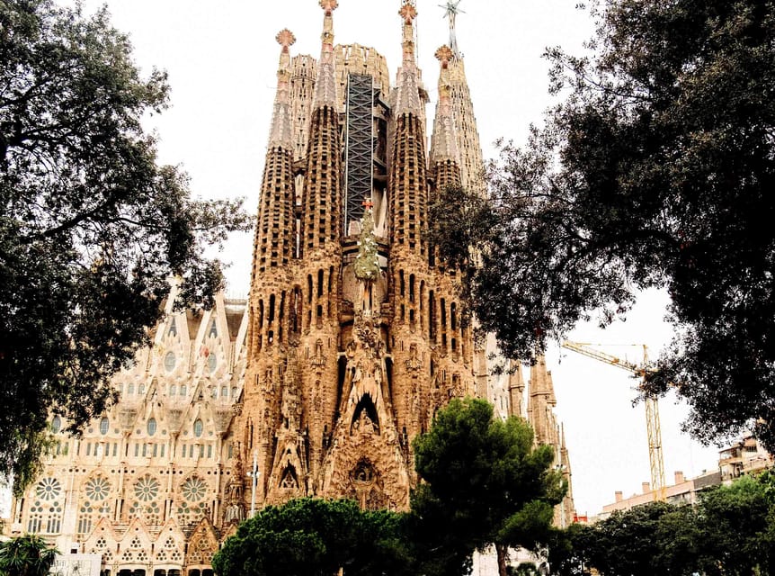Sagrada Familia Guided Tour with Skip-the-Line Entry Ticket - Looking upward inside the basilica