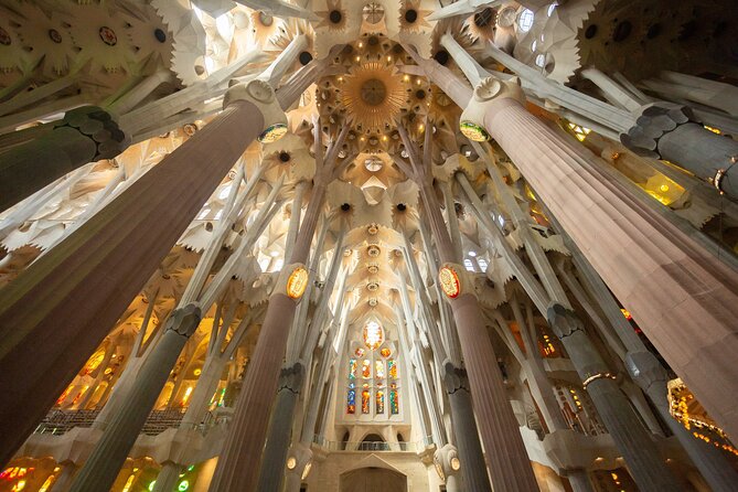 Sagrada Familia Guided Tour with Skip the Line Ticket - The Nativity façade, Gaudí’s living stonework