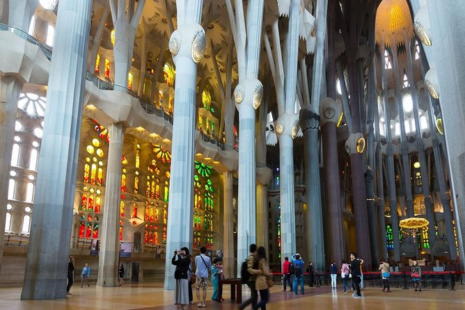 Sagrada Familia Guided Tour with Towers Access - Why a guide helps at La Sagrada Familia