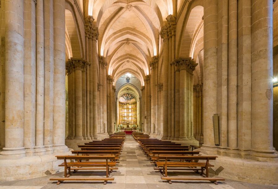 Salamanca: Cathedral of Salamanca Ticket with Audio Guide - Using the audio guide without losing the atmosphere