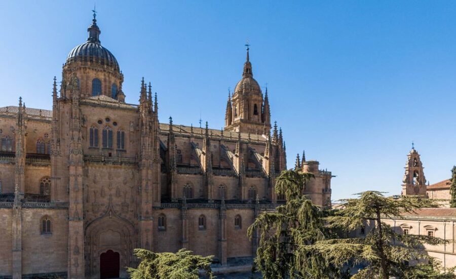Salamanca: Cathedral of Salamanca Ticket with Audio Guide - Starting at the New Cathedral