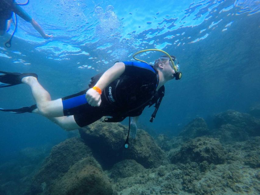 Salou: Scuba Diving for Beginners - A gentle first step into scuba in Salou