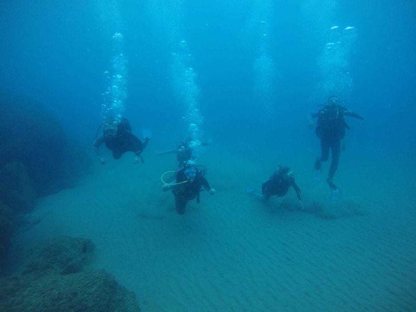 Salou: Scuba Diving for Beginners - Marine life without overpromising