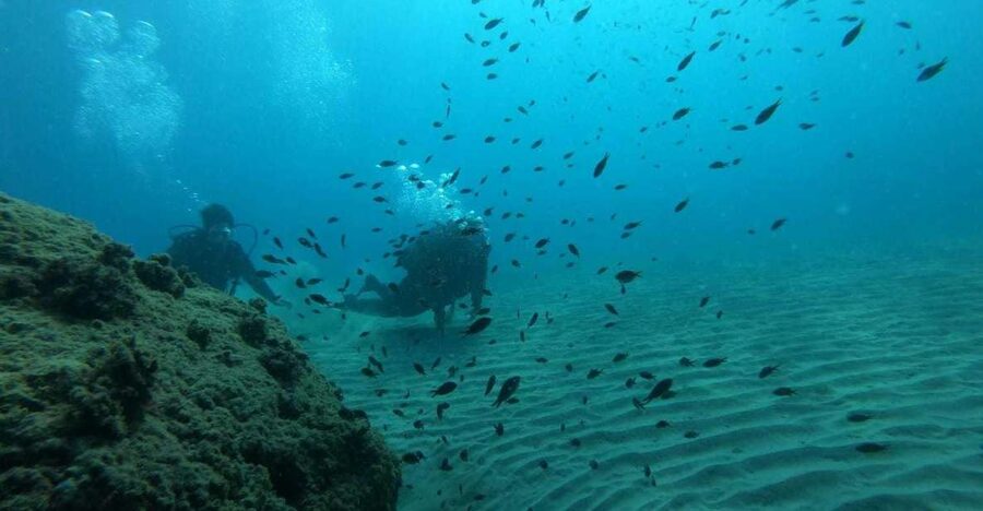 Salou: Scuba Diving for Beginners - Getting comfortable with the equipment