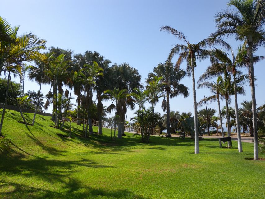 Santa Cruz de Tenerife Palmetum Entry Ticket - Why this former dump is worth your time