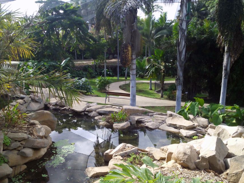 Santa Cruz de Tenerife Palmetum Entry Ticket - Walking conditions and accessibility