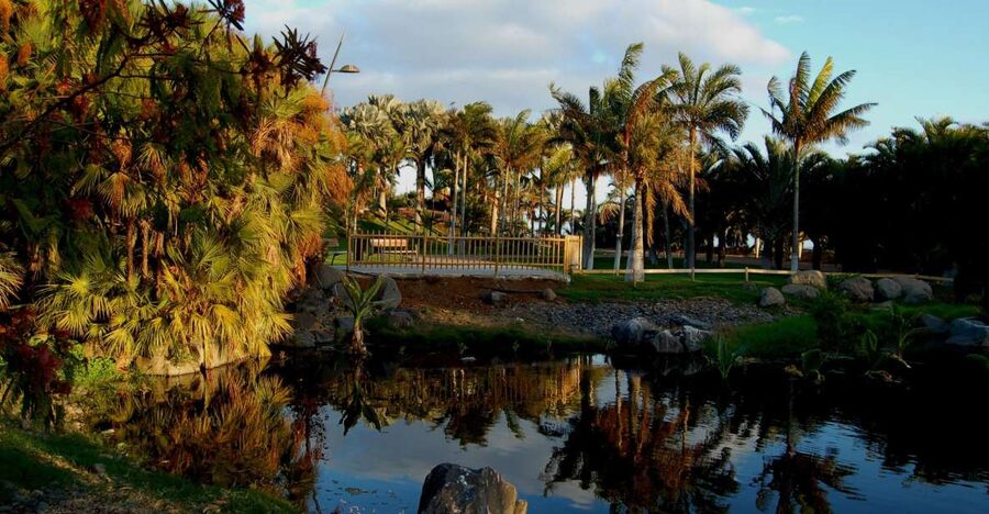 Santa Cruz de Tenerife Palmetum Entry Ticket - Starting at the Palmetum entrance