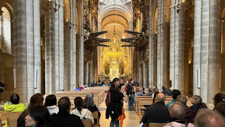 Santiago de Compostela: Cathedral, Museum, and Old Town Tour - Guides make the biggest difference