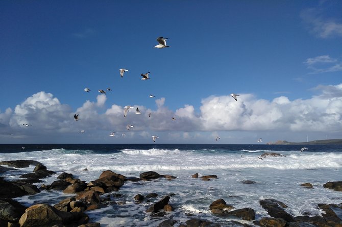 Santiago de Compostela: Finisterre, Muxía & Costa da Morte - Cape Finisterre and the lighthouse at the end of the world