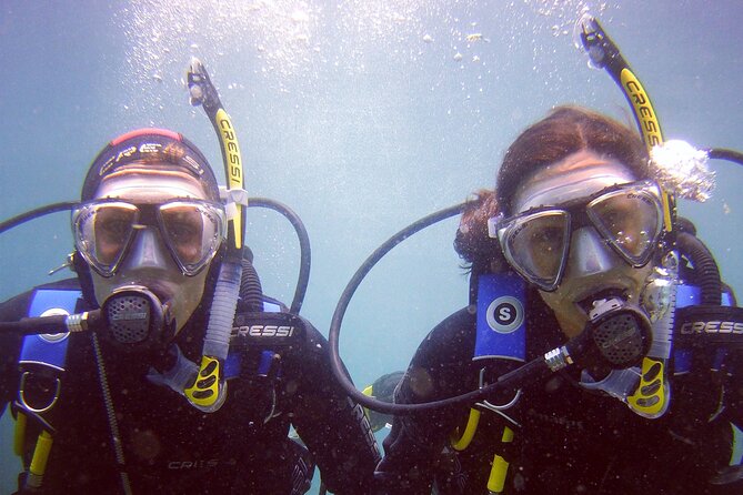 Scuba Diving Experience for Beginners in Gran Canaria - Shallow-water practice before the main swim
