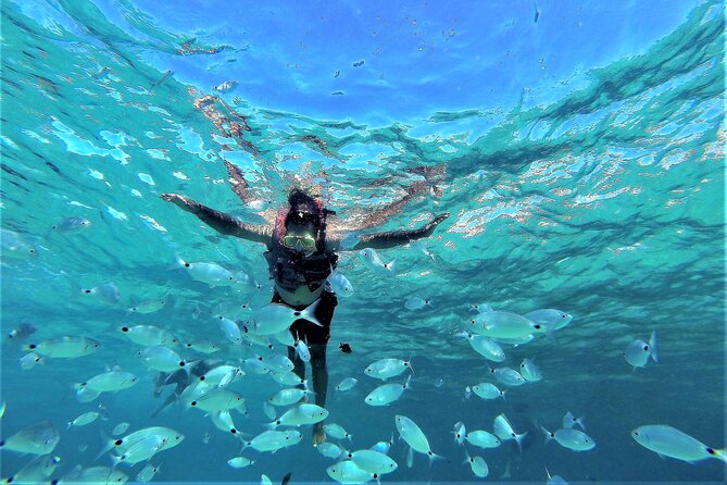 Sea Caves & Coves Snorkeling Paddle Boarding Tour - Cala Bassa and the sea cave