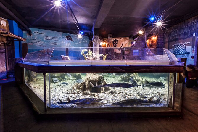 Sealife Benalmadena Entrance Ticket - Meeting sharks beneath the water