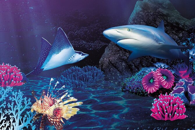 Sealife Benalmadena Entrance Ticket - A child-friendly visit with a built-in quiz