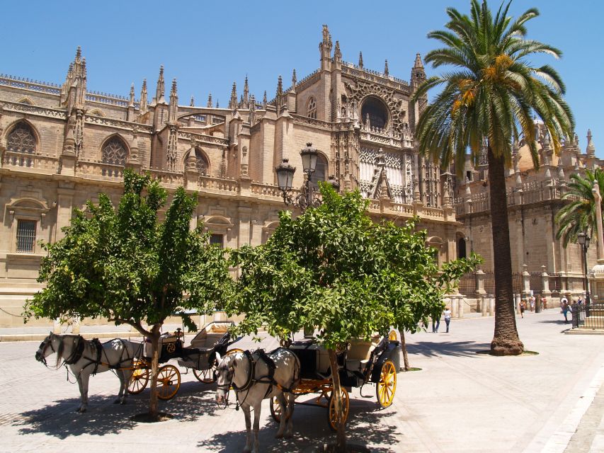 Seville: Alcázar Guided Palace Tour with Priority Access - Who will enjoy this visit most?