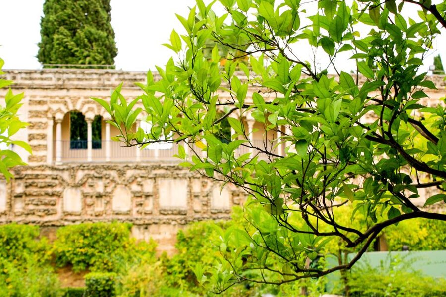 Seville: Alcazar Skip-the-Line Guided Tour with Tickets - Crowds, headsets, and the real pace