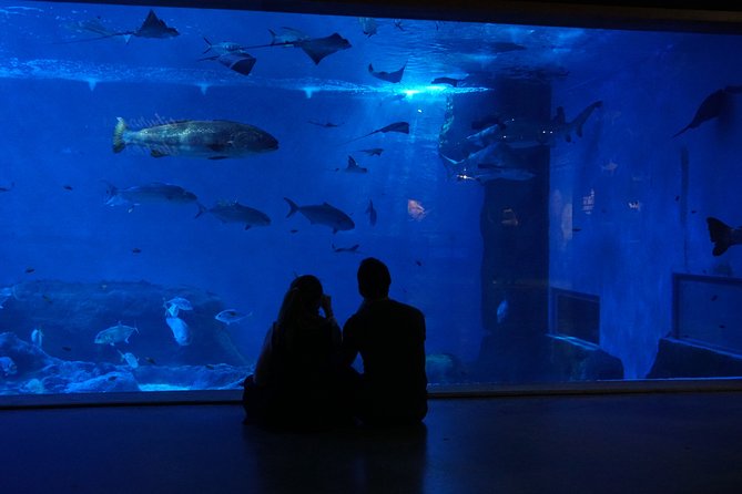 Seville Aquarium Admission Ticket - How long the visit takes