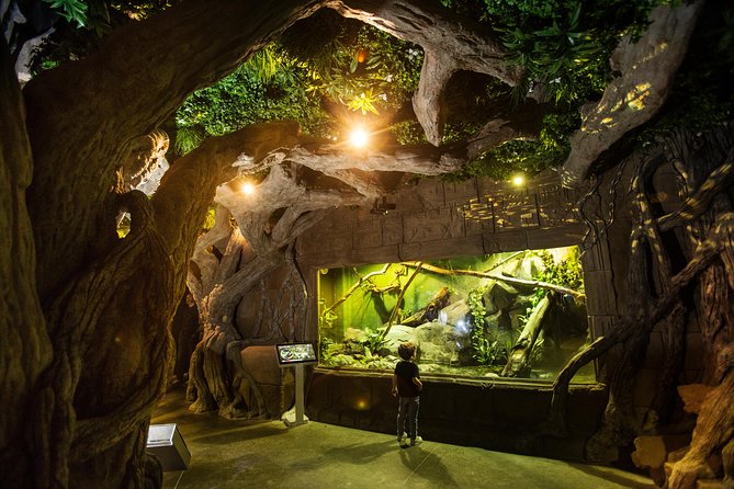 Seville Aquarium Admission Ticket - Getting there from central Seville