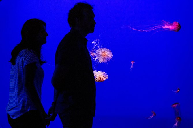 Seville Aquarium Admission Ticket - From the Guadalquivir to the Atlantic