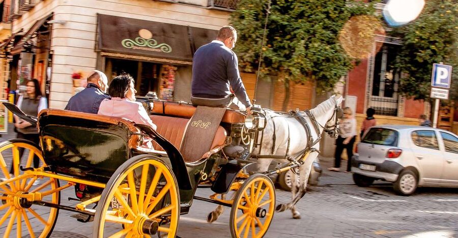 Seville: Authentic and Romantic Horse-Drawn Carriage Ride - What this Seville carriage ride is really like