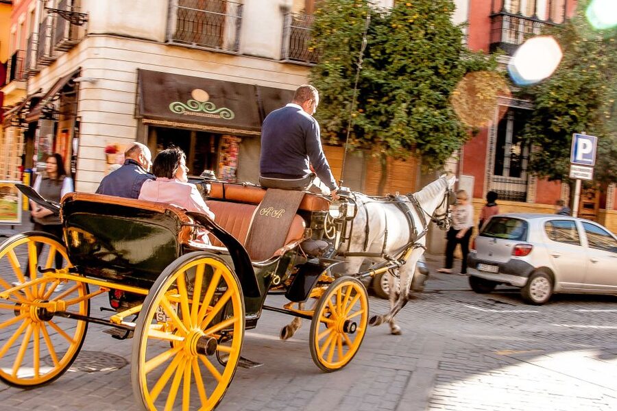Seville: Authentic and Romantic Horse-Drawn Carriage Ride - Along the Guadalquivir riverside