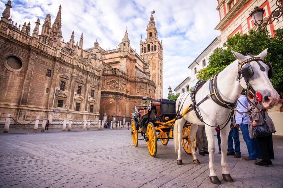 Seville: Authentic and Romantic Horse-Drawn Carriage Ride - Weather, timing, and the horse