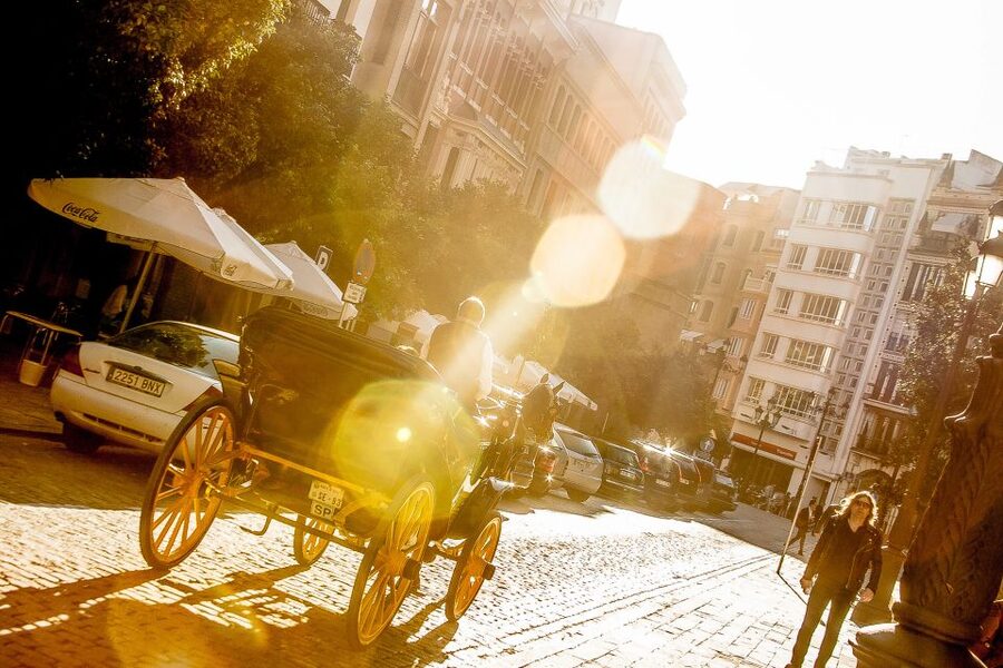 Seville: Authentic and Romantic Horse-Drawn Carriage Ride - Parque de María Luisa and Plaza de España