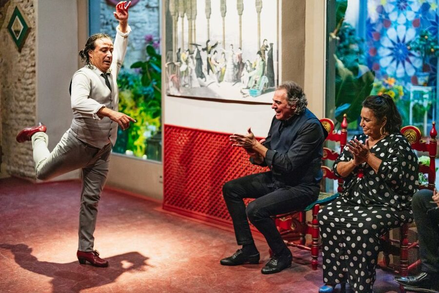 Seville: Casa de la Memoria Flamenco Show - Who will enjoy this show most?