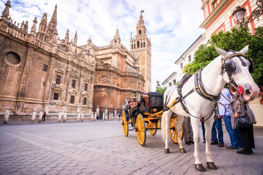 Seville: Cathedral and Alcázar Guided Tour - Inside Seville Cathedral in about 75 minutes