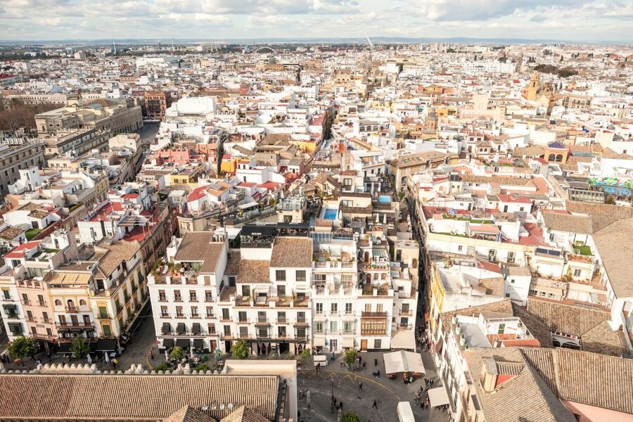 Seville: Cathedral Guided Tour with Priority Access - What the $44 price includes