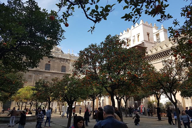 Seville Cathedral Tour including tickets and skip the line entry - Meeting at Naturanda on Calle Francos