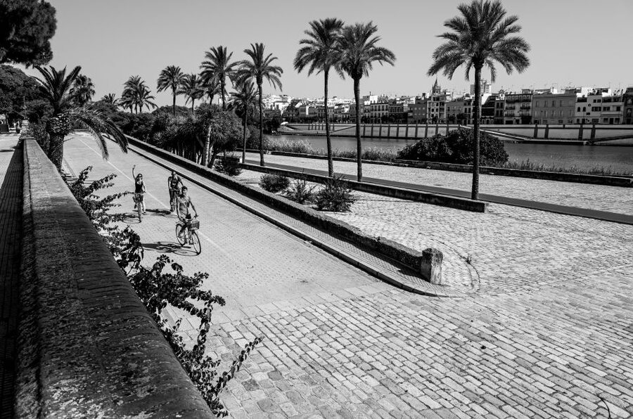 Seville: City Sightseeing and Local Culture Bike Tour - The Alcázar and the monumental center