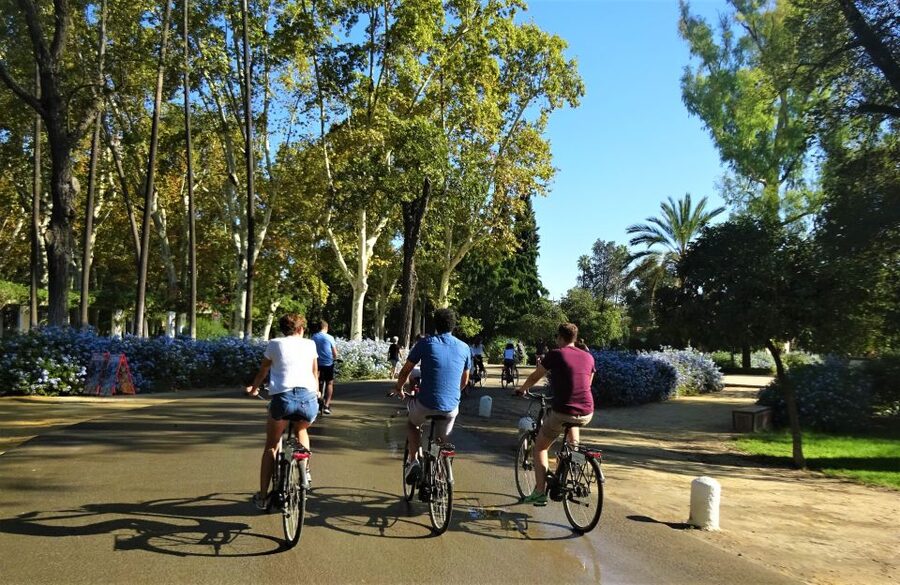 Seville: Electric Bike Tour in Small Group - Riding through Triana