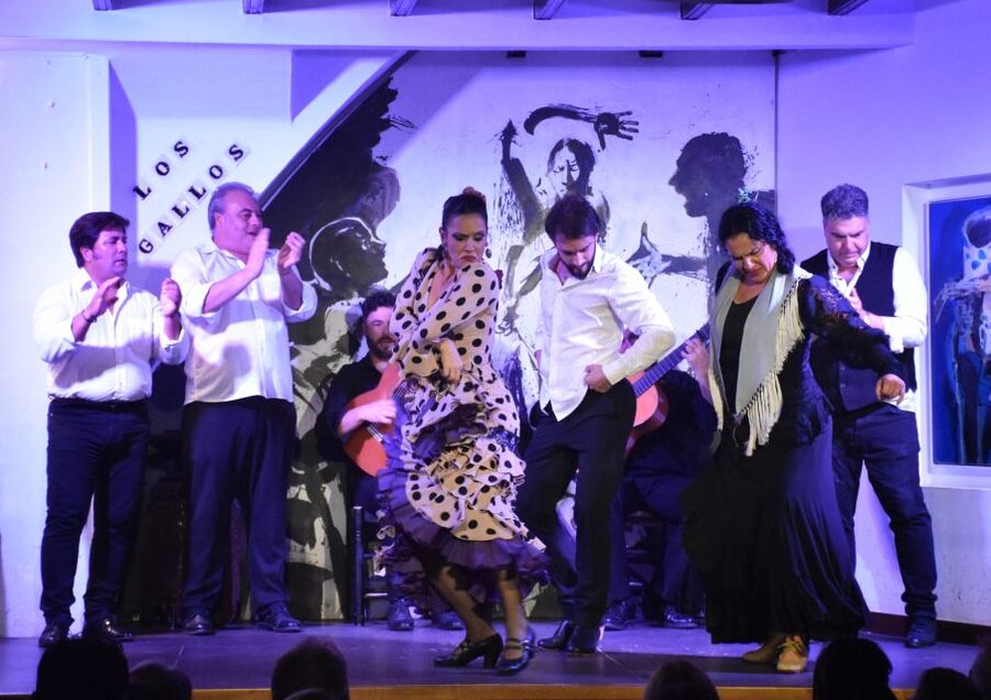 Seville: Flamenco Show at Tablao Los Gallos - The Intimacy Has Benefits and Costs