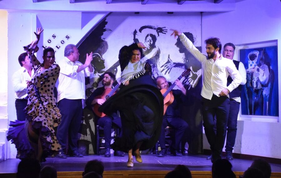 Seville: Flamenco Show at Tablao Los Gallos - What You Pay for at $45