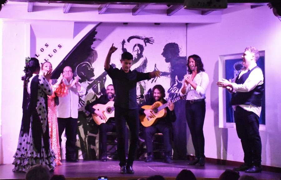 Seville: Flamenco Show at Tablao Los Gallos - Practical Details That Matter