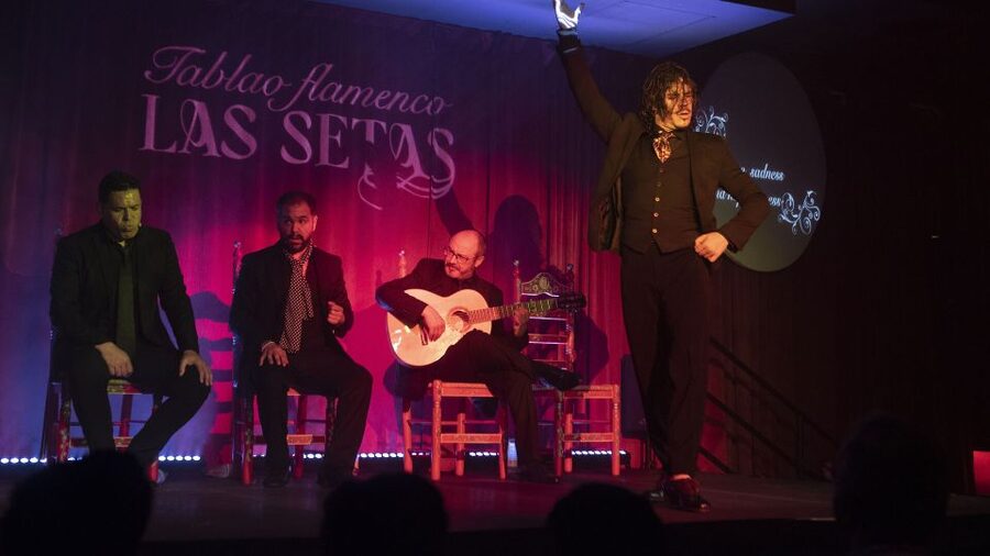 Seville: Flamenco Show & Roof Dinner with Cathedral Views - Why this combination works in Seville