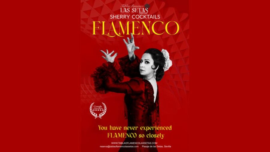 Seville: Flamenco Show Ticket at Tablao Flamenco Las Setas - What Tablao Flamenco Las Setas feels like