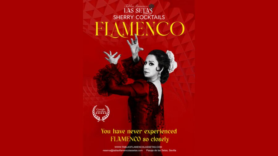 Seville: Flamenco Show Ticket at Tablao Flamenco Las Setas - Choosing between Basic, Premium, and VIP tickets
