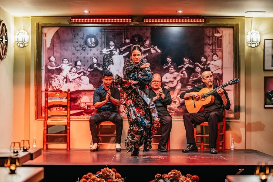 Seville: Flamenco Show with Andalusian Dinner at La Cantaora - A close-up introduction to Andalusian flamenco